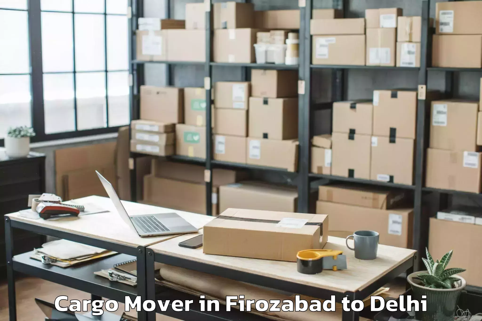 Top Firozabad to V3s East Centre Mall Cargo Mover Available